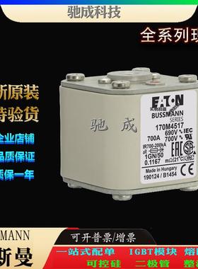 巴斯曼170M4517 170M4518 170M4519 加工制作零售 紧凑熔断器