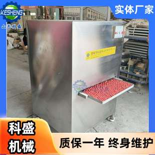 宠物食品加工设备 冻干蛋黄刺孔机 全自动扎孔机 蛋黄扎孔机