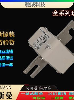 巴斯曼170M6167 170M6168 170M6169 现货供应价优 方体熔断器