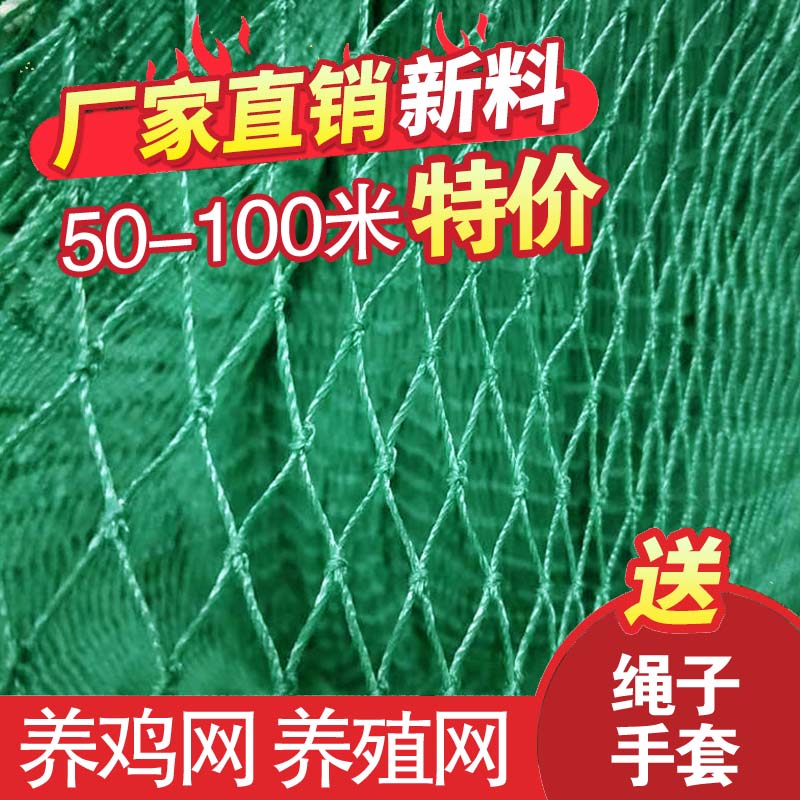 尼龙养鸡网养殖网山鸡塑料围鸡网菜园果园M围栏网防鸟爬藤养鸭天