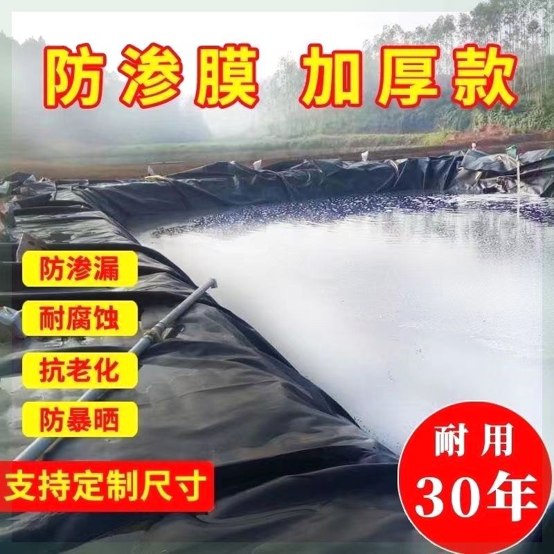 鱼塘防渗膜土工膜防水布蓄水池塑料膜护坡防漏专用U加厚鱼塘防渗