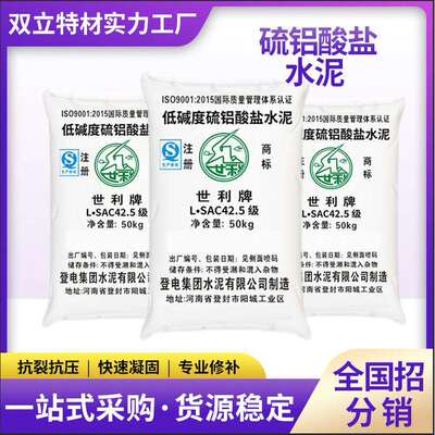 世利低碱度缓凝硫铝酸盐水泥 凝结自流平砂浆料隧道加固修补水泥
