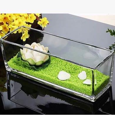 透明水培玻璃花盆花瓶乌龟缸长方形缸F S缸 植物花器绿萝水仙包邮