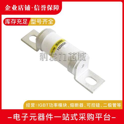 1000GH-32UL 1000GH-40UL 1000GH-50UL快速熔断器 保险丝 断路器