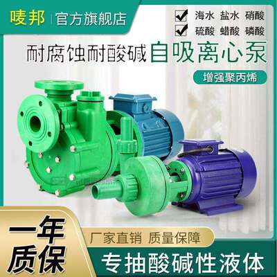50FPZ-25-3KW塑料自吸泵聚丙烯防腐抽酸循环水泵耐酸碱化工离心泵