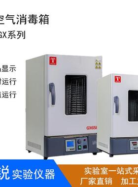 泰斯特GX65BE/GX125BE热空气消毒箱干烤灭菌箱数显远红外干燥箱
