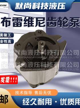 布雷维尼brevini齿轮泵OT200-GR2 OT303-GR3 OT100-GR1液压油泵
