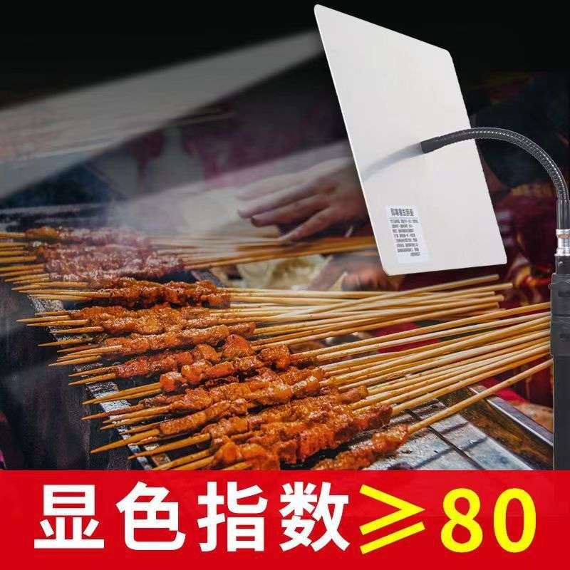 超亮led灯夜市灯摆摊灯地摊专用灯12v/48v接电瓶灯户外团建照明灯