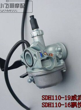 适用1119A悦-威武化油器/019三SDH11011飘16 0-总成国化油器