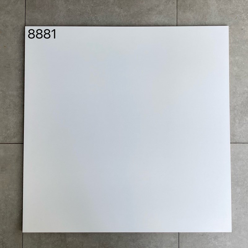 黑白通体全瓷仿古砖800x800哑D光纯色平面地砖防滑耐磨黑白根瓷砖