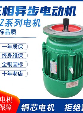 K5/LE.54W4-W12真河南32转子EZ1YS-牛K5锥形.三相异步电机4Z1和Y/