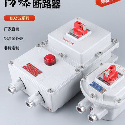 防爆断路器BDZ52空开漏电2P3P16A32a63A三相一体式防爆控制箱220V