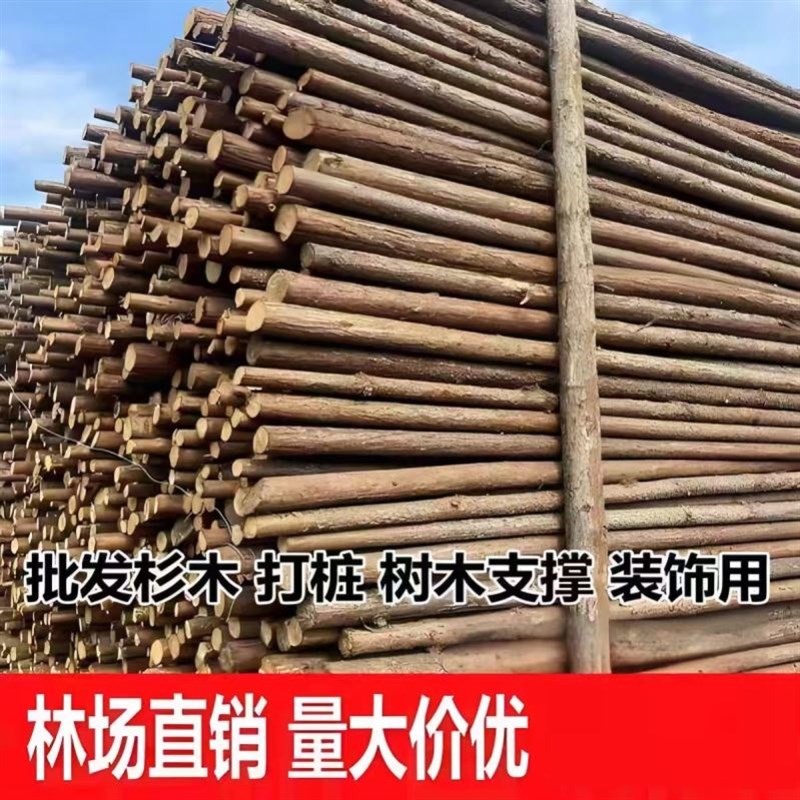 松木桩打桩木杉木桩落叶松河道木桩F原木防汛护坡绿化支撑杆圆木