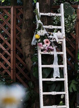 森得源花园陈列饰品爬藤架架梯子铁艺装饰摆件梯爬空间家居创意架