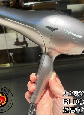 火之凤吹风机理发店专用发廊发型师家用大功率L男士速干风筒6600H