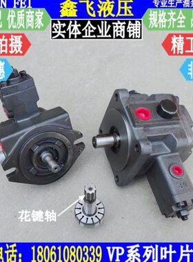 PVV P20B-70F-变S/V量151F -15 1/D-  PA3油泵0D8VV叶片泵-12-F