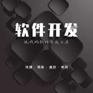 SDP平台源码 web应用快速开发 前端快速开发平台 开发平台 无代码