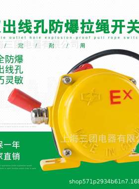 ExKLT2手动防爆双向拉绳开关 BKLT2-2型双出线孔防爆平衡拉线开关