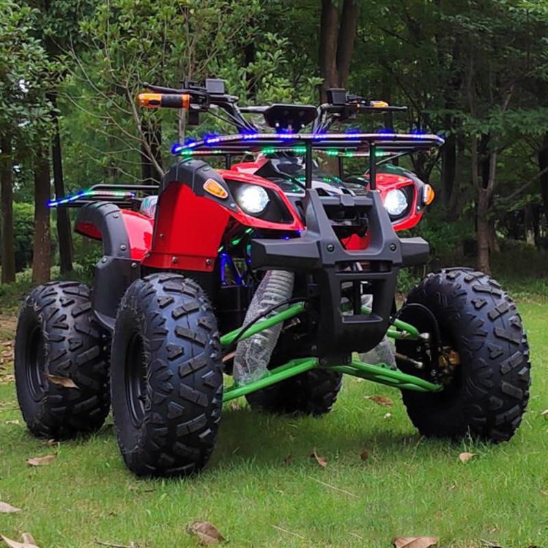 摩托车越野摩托车电动越野沙滩车电动60v1200w全地形雪地车