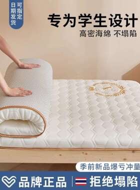 学生宿舍床垫床褥垫子单人厚软垫租房专用防滑90cmx190cm四季通用