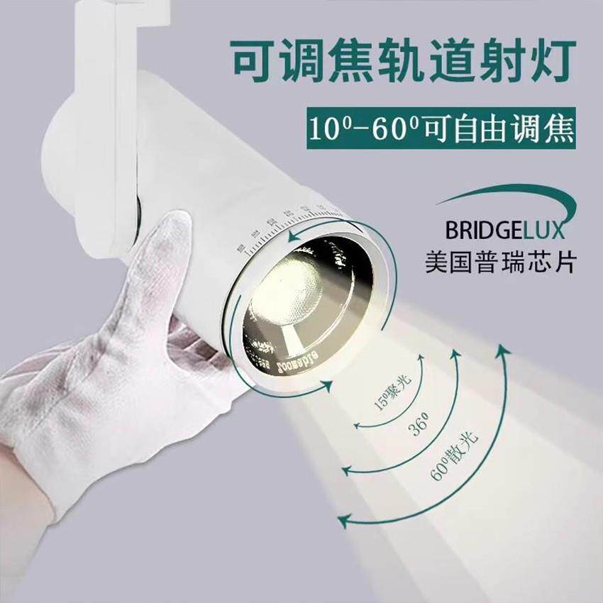 全光谱植物生长补光灯调焦植物墙罗汉松景观设计雨淋缸仿太阳