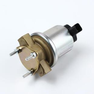 P74213通用型电动燃油泵 汽油泵 汽车燃油泵 柴油泵