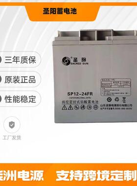 圣阳蓄电池12v24AH 直流屏 SP12-24FR 光伏发电 铅酸免维护电池