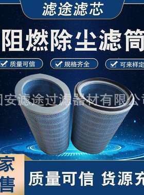 滤途供应P191920椭圆形滤芯阻燃粉尘滤筒P190818 除尘滤芯滤筒
