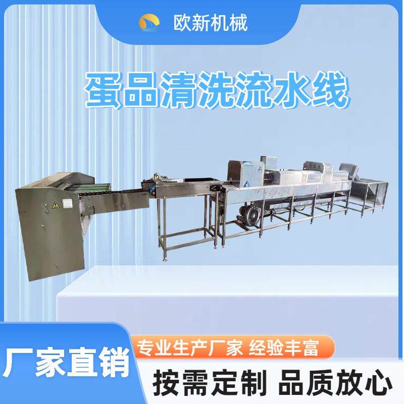 商用大型不锈钢全自动洗蛋机鲜鸡蛋清洗机咸鸭蛋去泥清洗风干机器