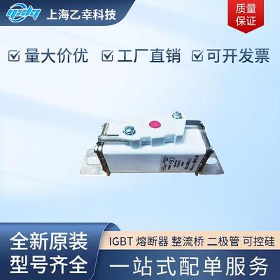 巴斯曼熔断器 170M2020 170M2021 170M2027 170M2028 170M2029