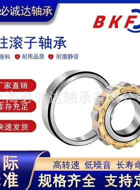 BKF圆柱滚子轴承N NJ NU NF NUP419 420 422 424 426 428 EM