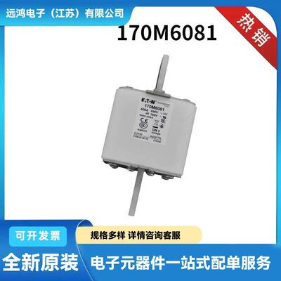 170M6788 170M6789 170M6790 170M6791原装低压熔断器 高压保险丝