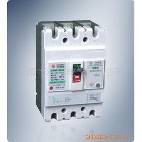 上海华通 剩余电流保护断路器 SM40L