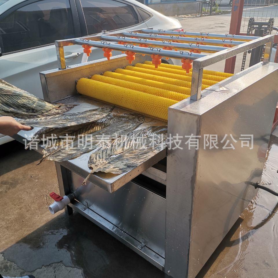 菠萝叶双层毛刷清洗粽子叶全备自动清洗机粽ZYQXJ-7加工设全套机