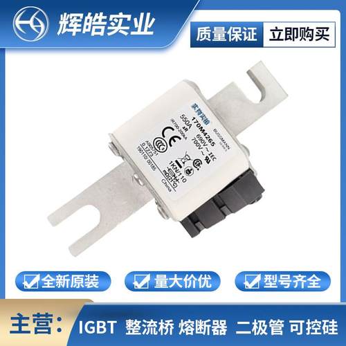 170M4265 170M4266 快速熔断器 保险丝 后备熔断 电子元器件