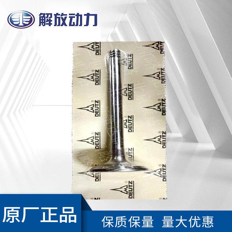 道依茨1313/2012原装配件进气门/排气门