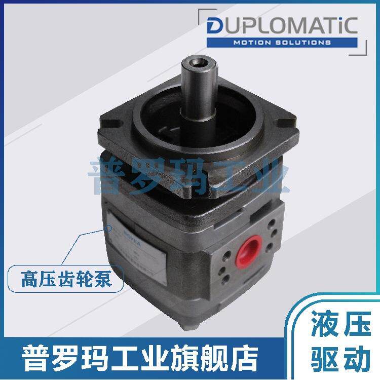 意大利DUPLOMATiC油泵IGP5/IGP6-032/40/50/64/80/100/125-R01/10