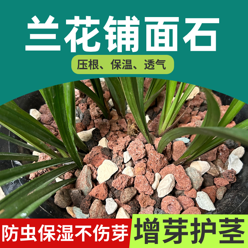 兰花专用铺面g石料花盆养花的小石头白红火烧土颗粒火山石子金植