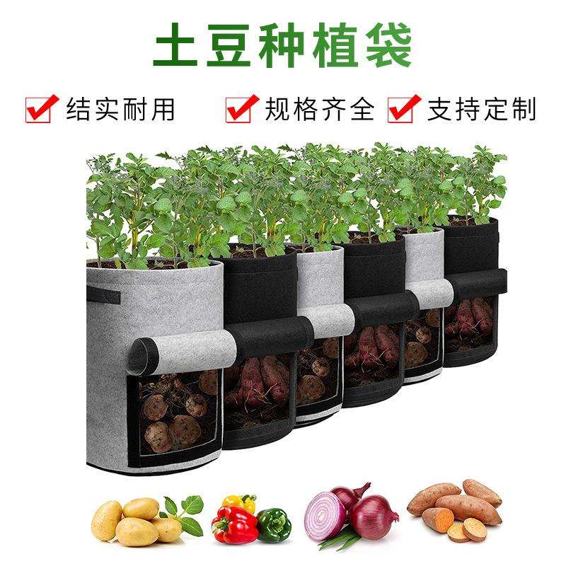 土豆种植袋无纺布园艺马铃薯洋葱种植袋西红柿蔬菜植物袋生长袋