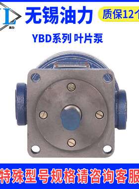 高压叶片泵YBD-6.3/10/16/20/25/32/40/63/80/100液压油泵泵头