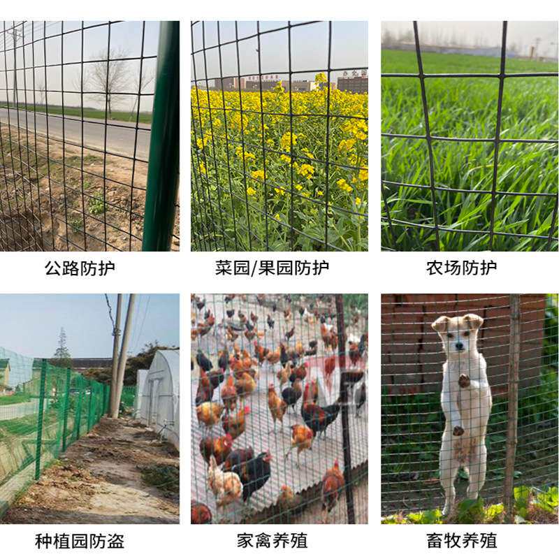 6厘米孔铁丝网浸塑电焊网网格鸡鸭鸽兔防逃养殖网电焊网养殖网