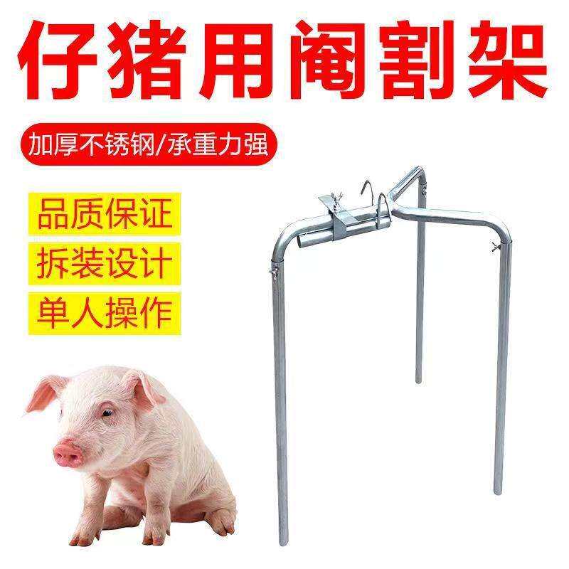 阉割固定架小猪三角阉猪台仔猪阉割架钢管阉猪架阉割器