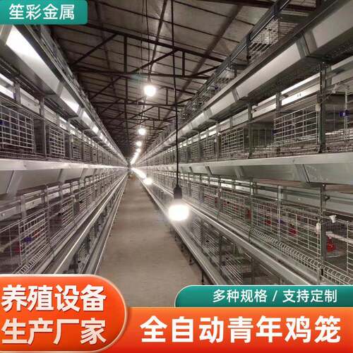 冷镀锌自动化大型青年鸡笼农场养殖家禽养鸡畜牧机械设备鸡笼子
