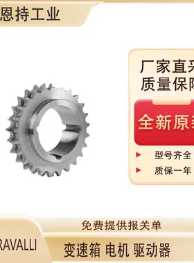 意大利 Chiaravalli-CHT 56 B2三相电机 厂家直采 质保一年