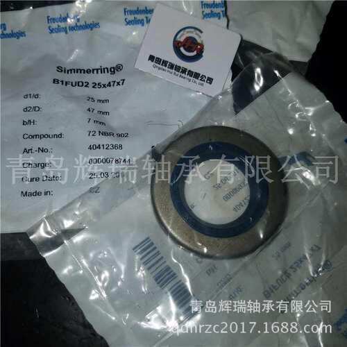 CFW-SIMRIT油封B1FUD2-25X47X7密封件内径25mm外径47mm厚度7mm