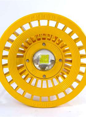 LED投光灯集成芯片70W80W100W防水防尘LED防爆工业专用三防灯超亮