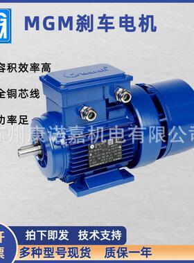 意大利MGM刹车电机/刹车片配件BA80B4/BA71B4