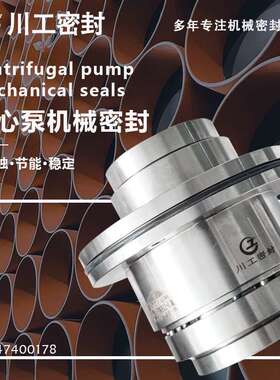 集装式无水机械密封 ACP32-200.6S BS24\ACP40-200.4S DD 轴封件