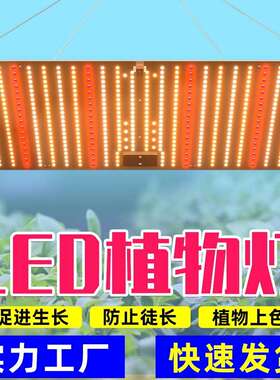 源头工厂LED植物生长灯户外促生全光谱补光灯大棚多肉育苗种植KJ