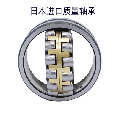 日本进口轴承 22207CS4S11 22207CKE4S11
